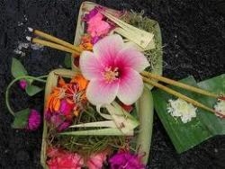 🌿小さな供え物に宿る、バリの祈り