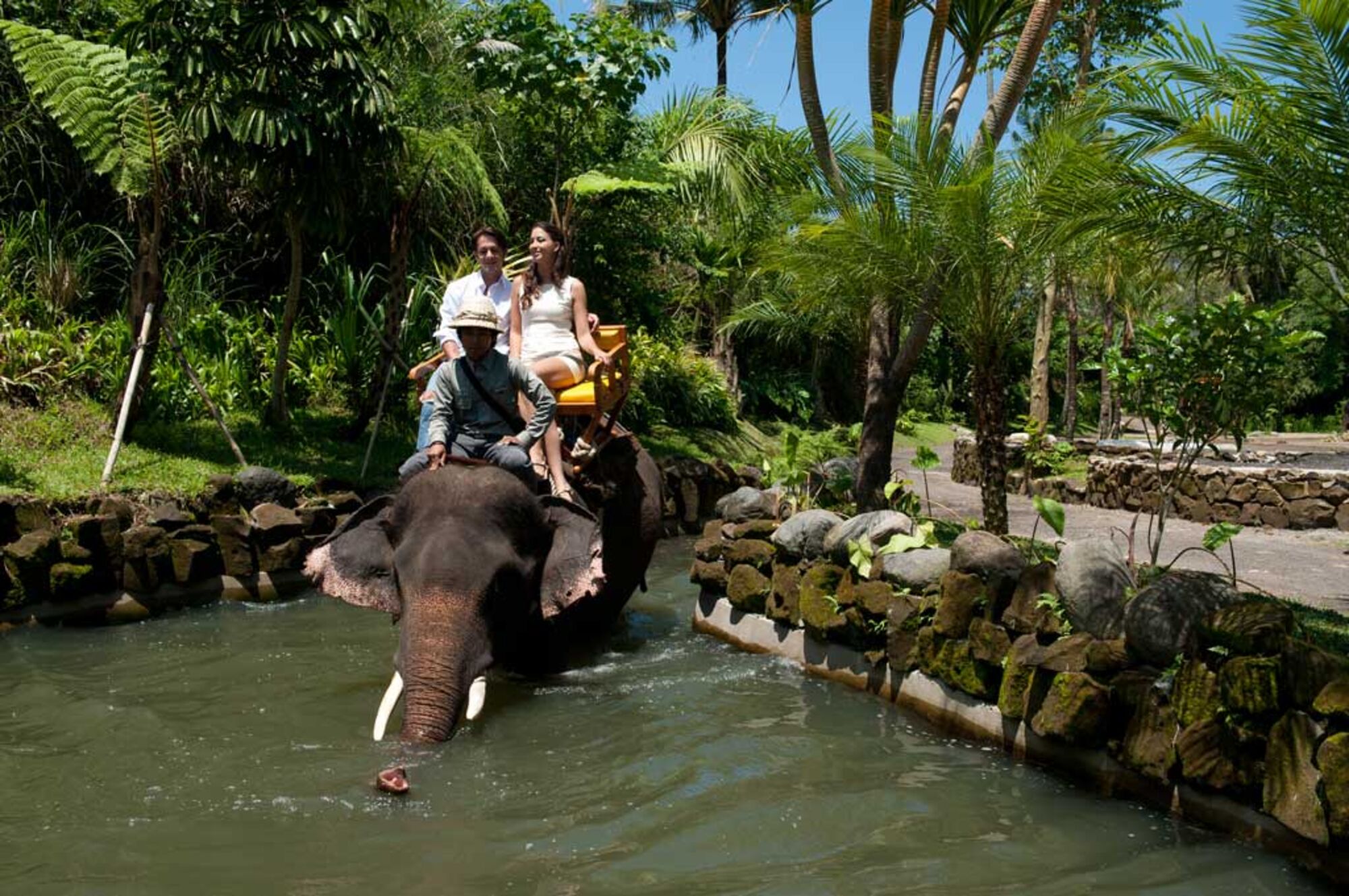 sche (1).jpg (431 KB)