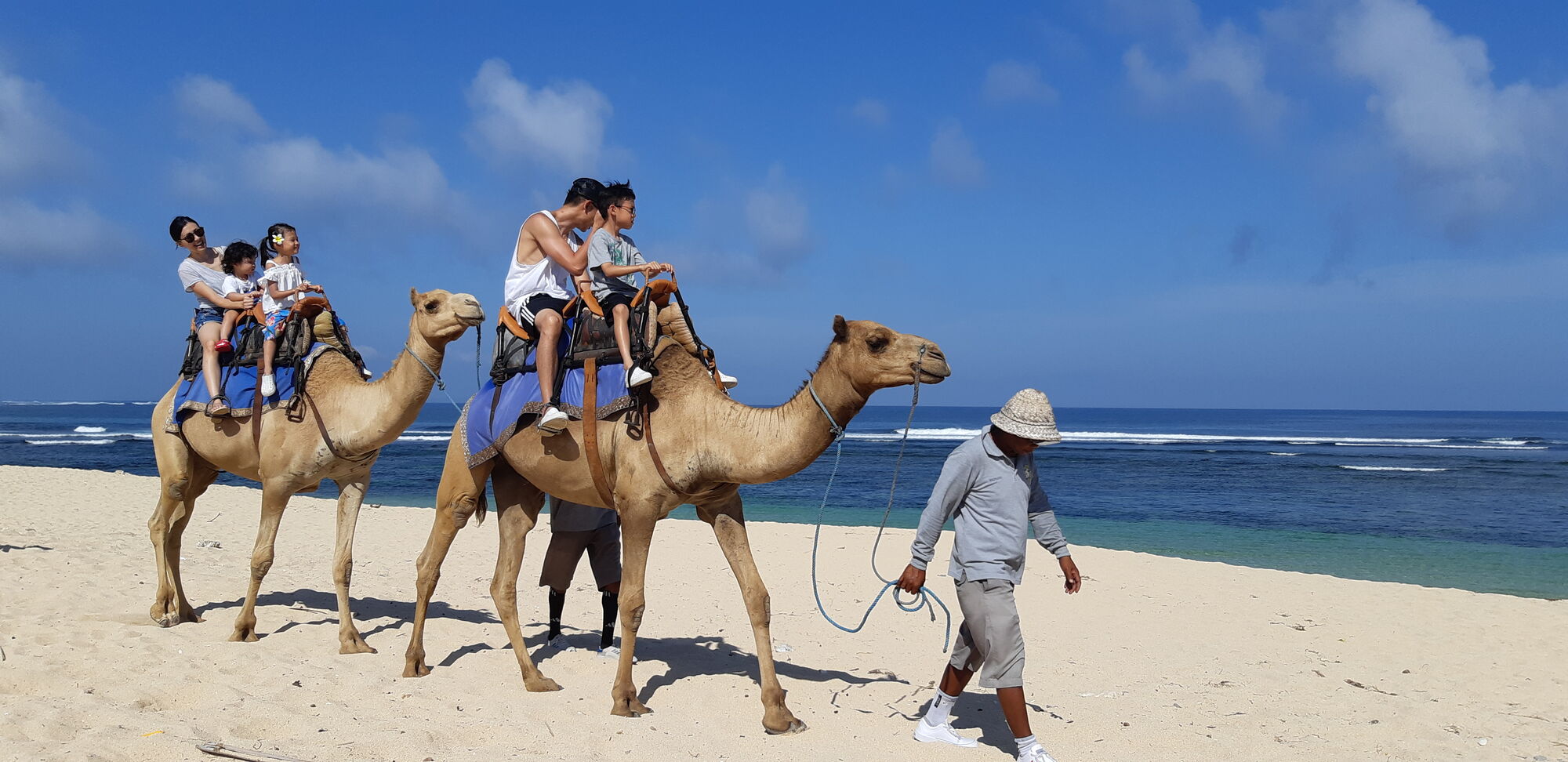 sche (3).jpg (278 KB)