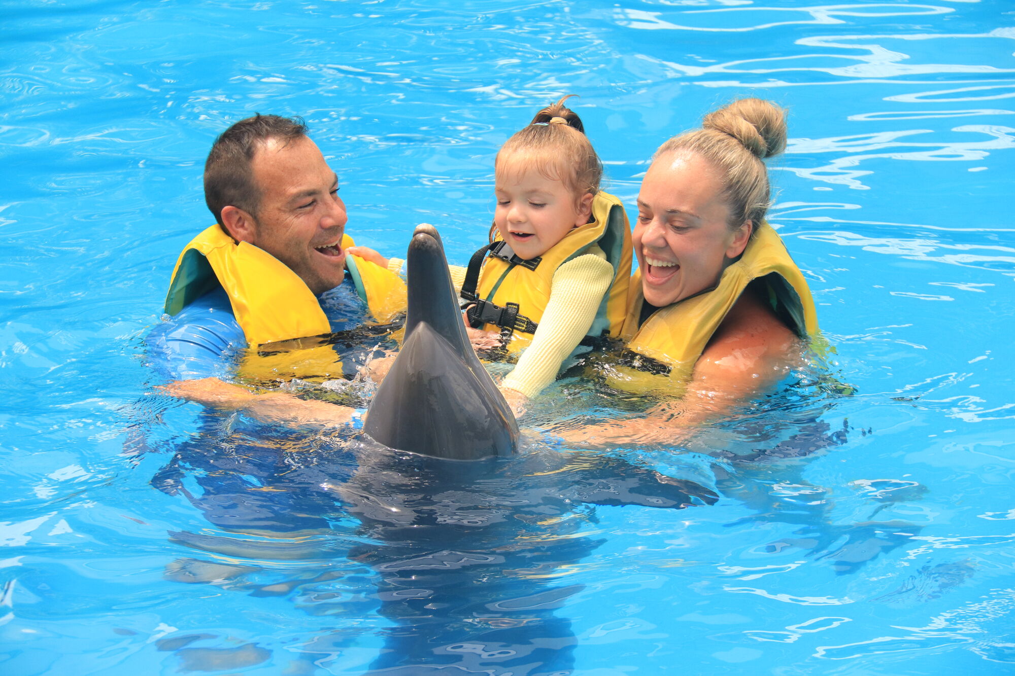 high (2).JPG (464 KB)