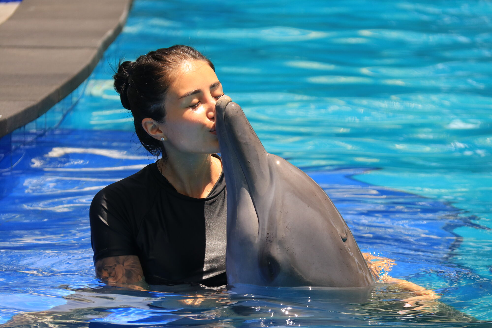 high (3).JPG (313 KB)