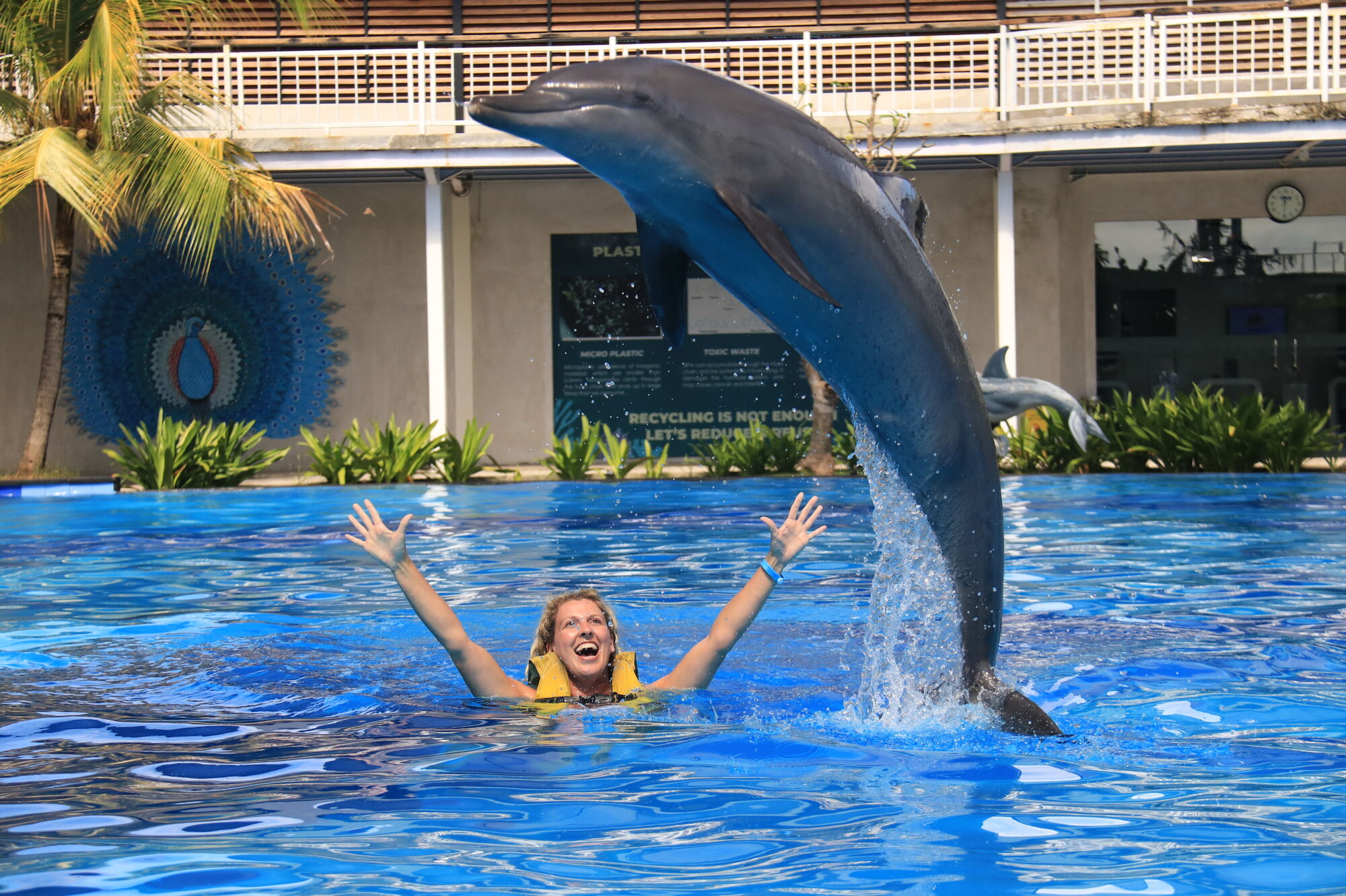 sche(1).JPG (555 KB)