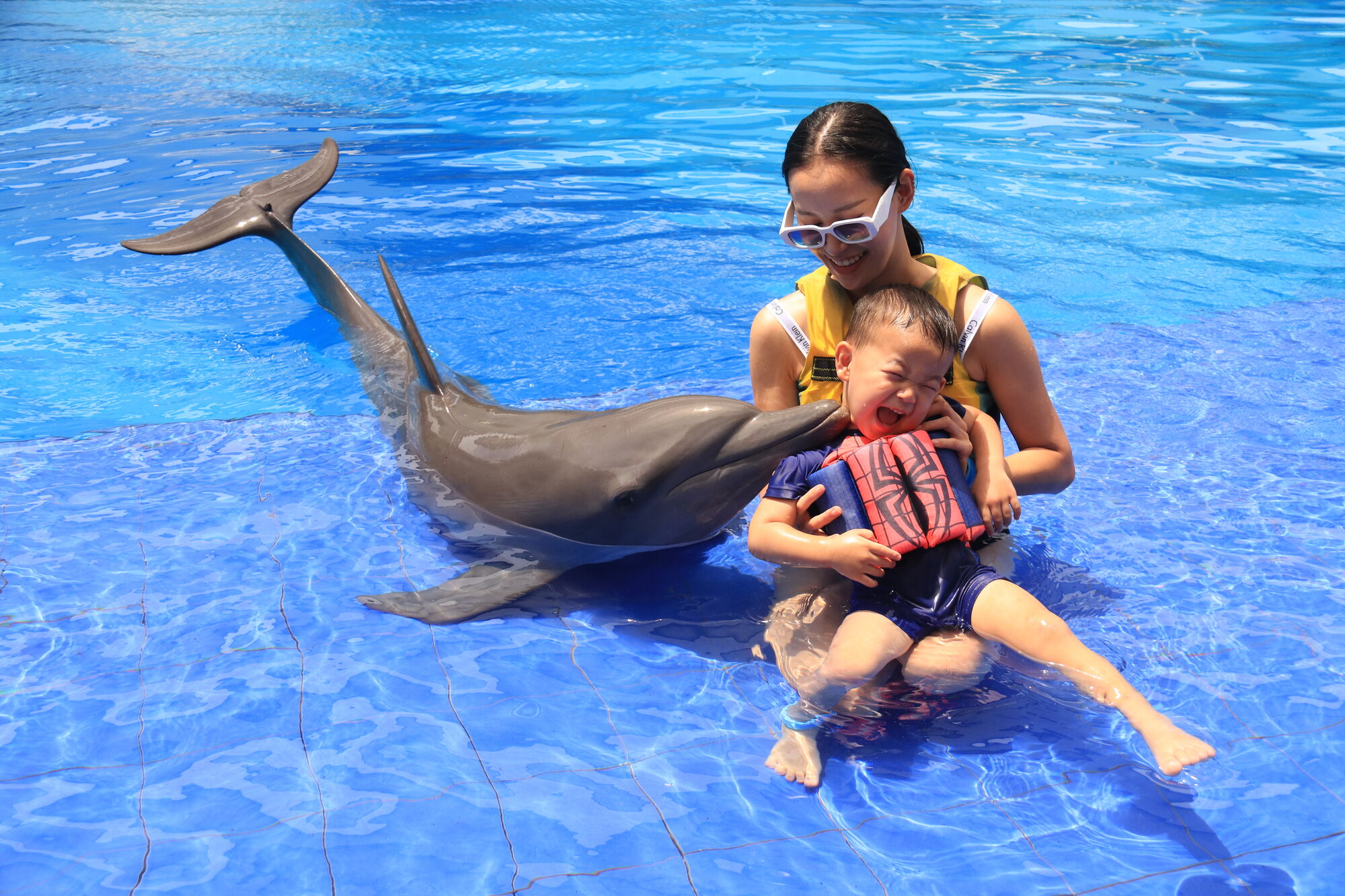 sche(3).JPG (520 KB)