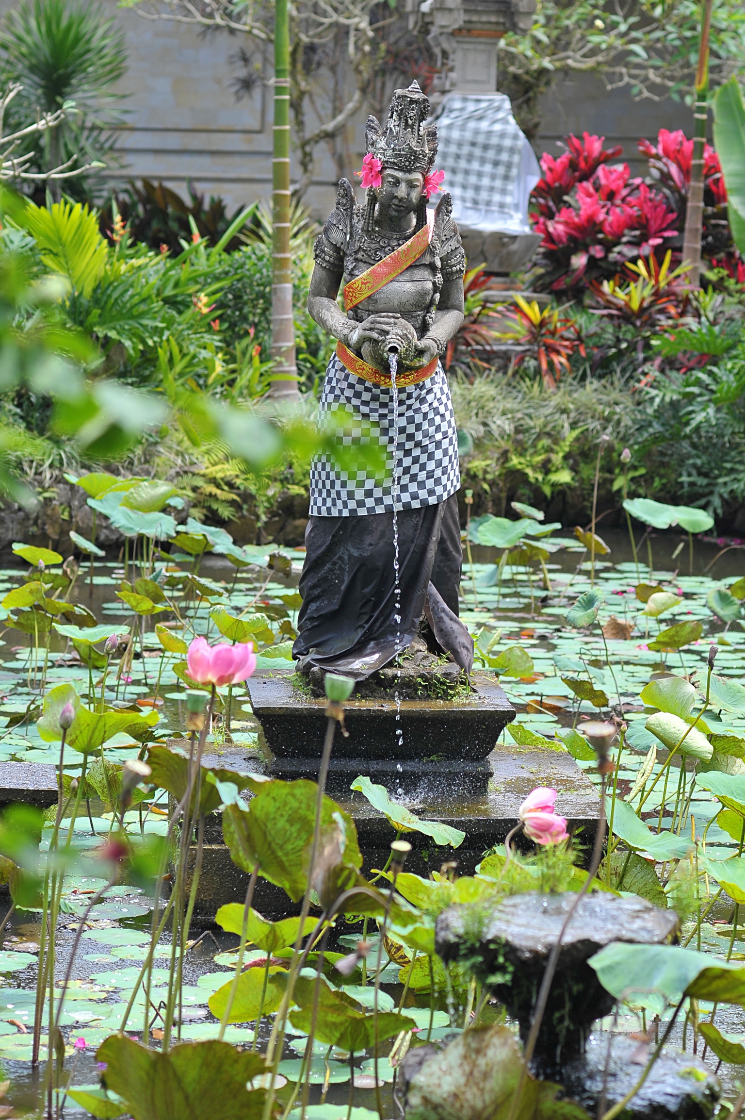 sche (2).jpeg (1.14 MB)