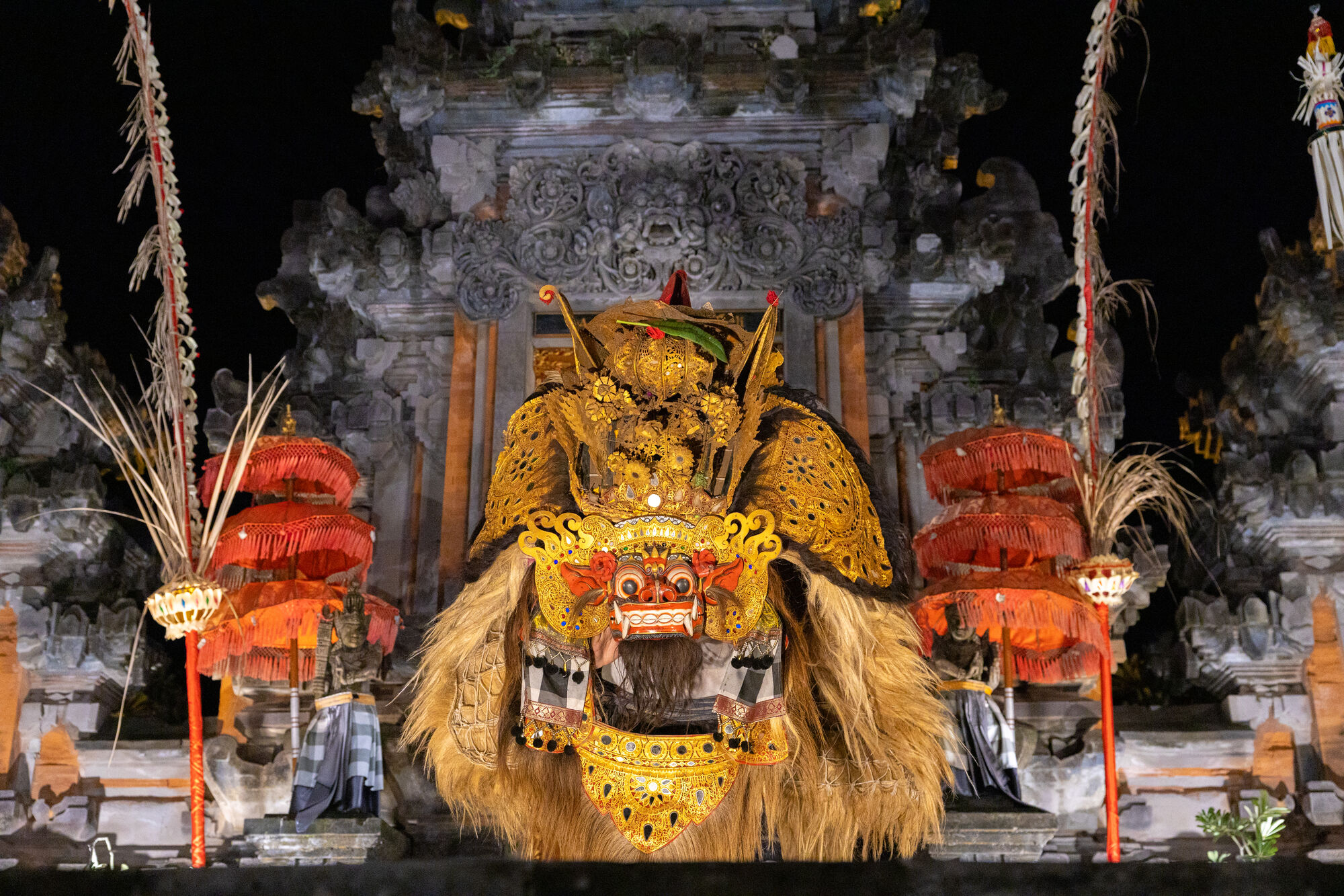 high (3).jpg (663 KB)