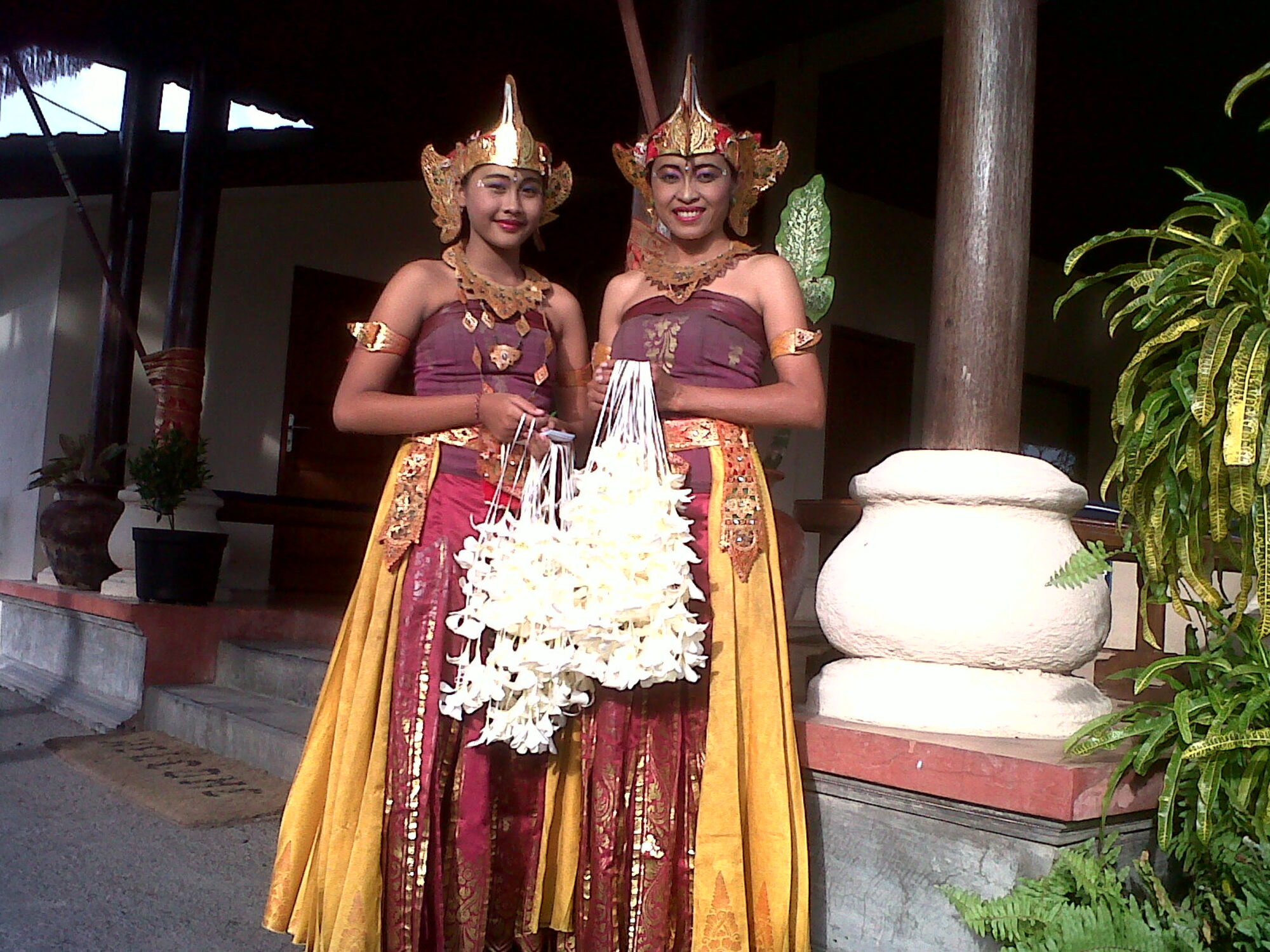 sche (1).jpg (497 KB)