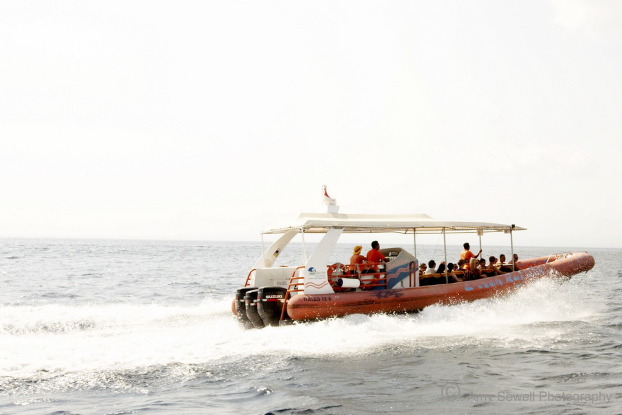 high (3).jpg (171 KB)