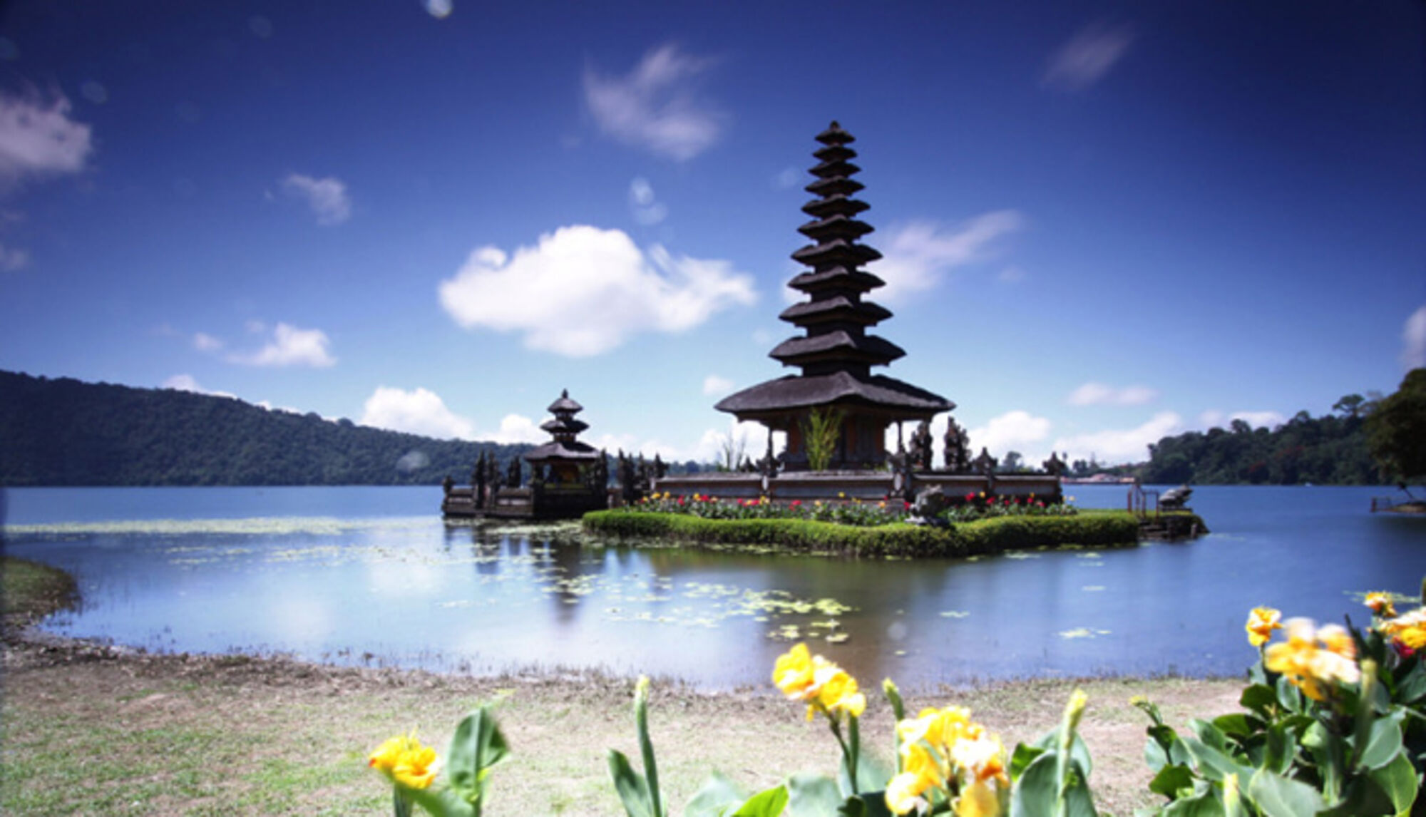 high (1).jpg (231 KB)