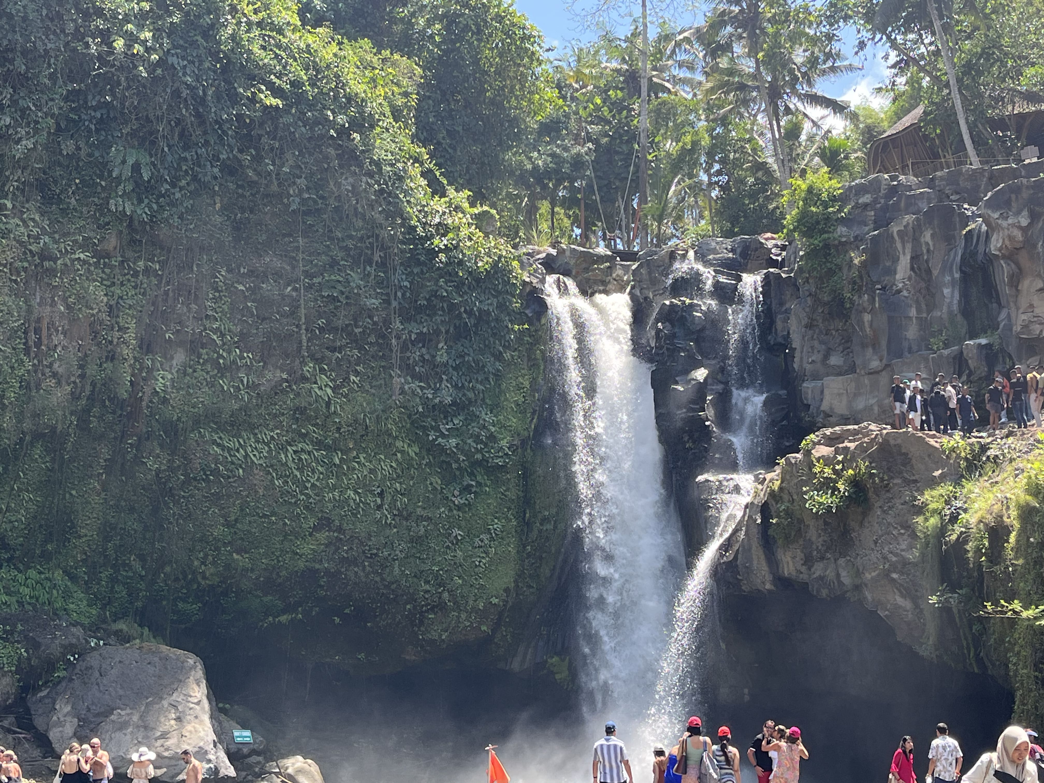 high (2).jpeg (1.33 MB)