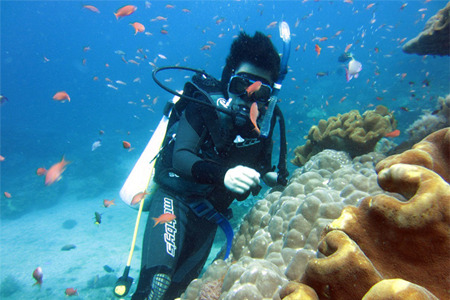 high (3).jpg (68 KB)