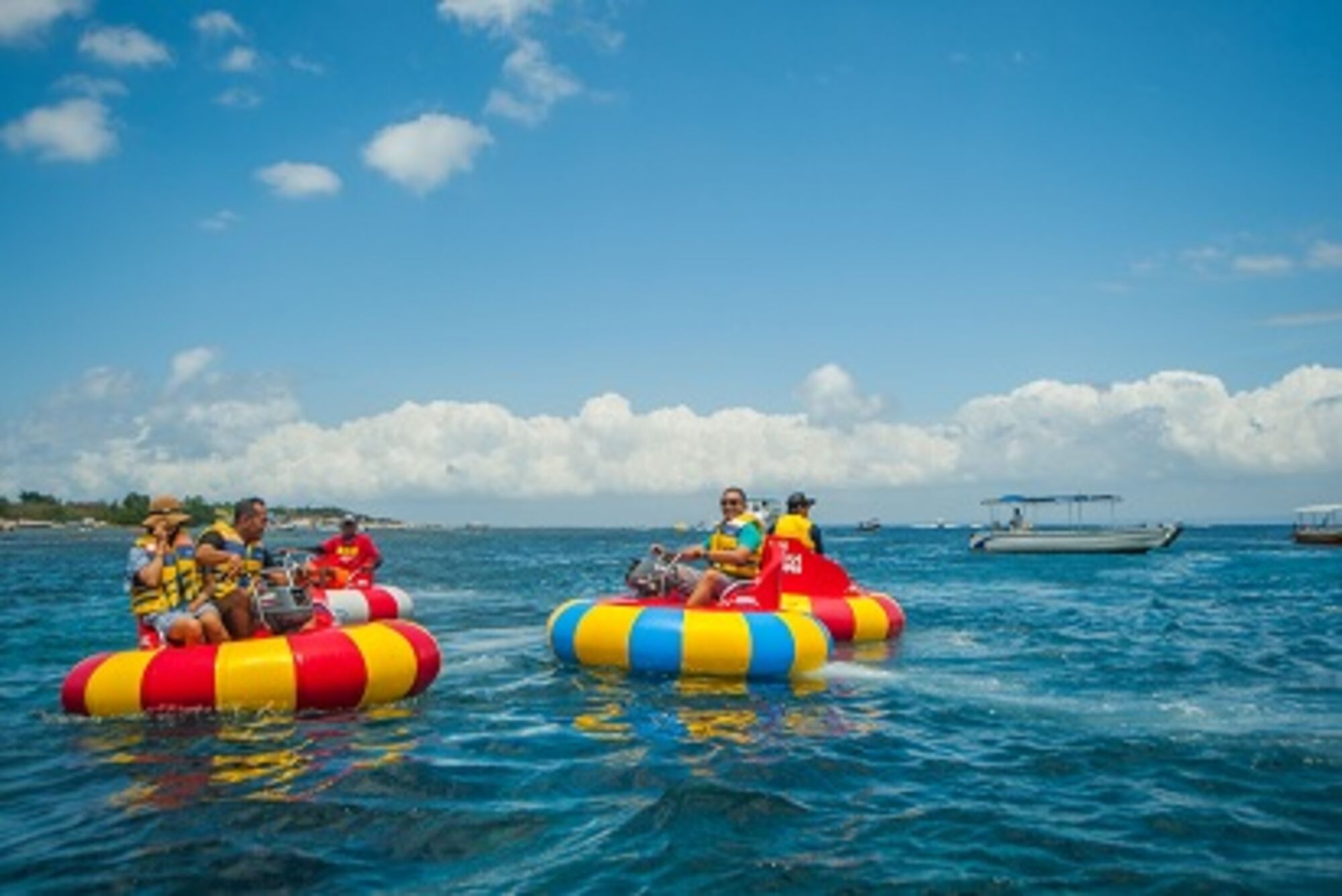 sche (1).jpg (173 KB)