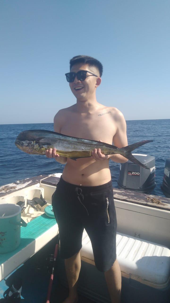 sche (2).jpeg (63 KB)