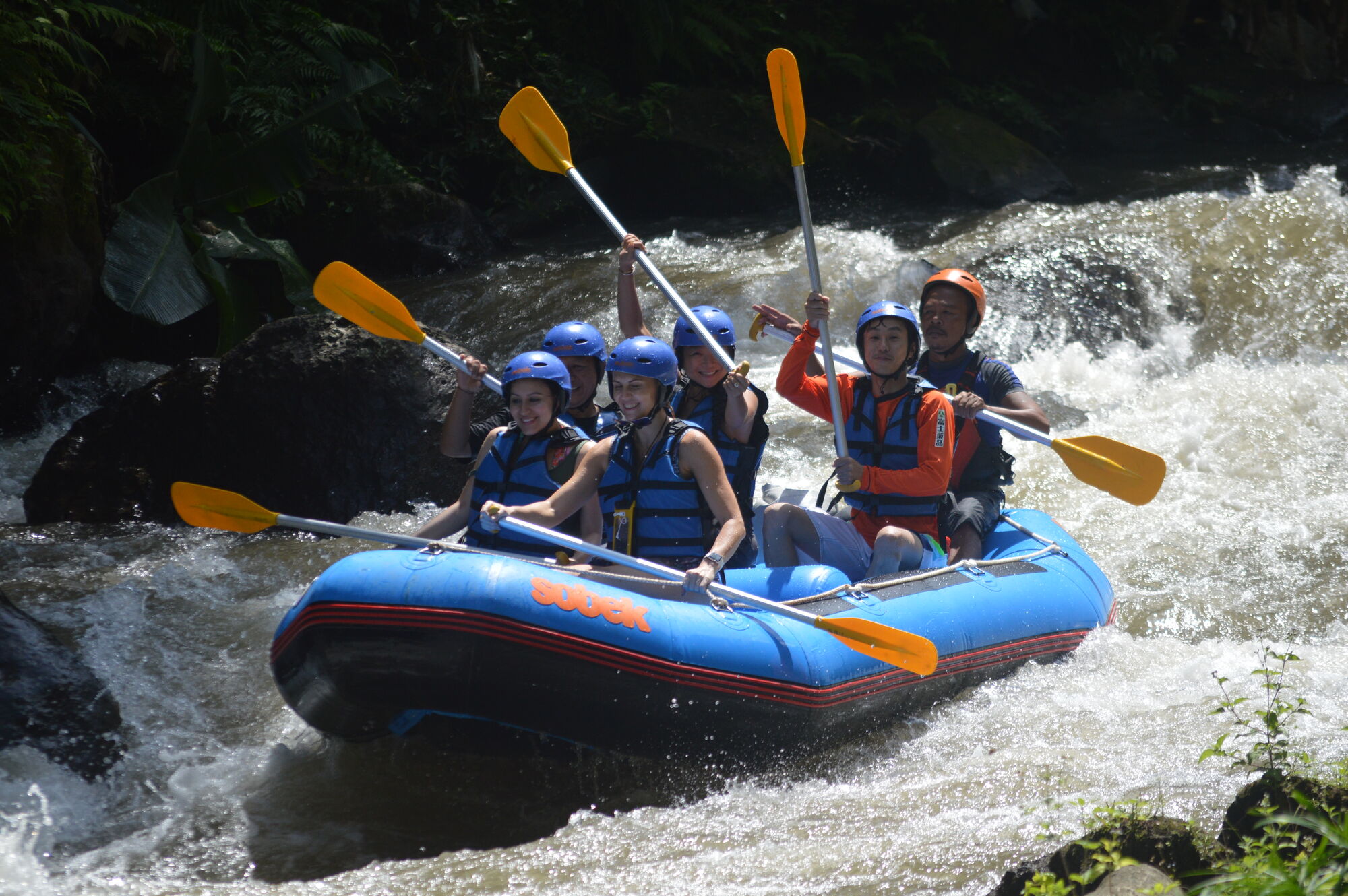 sche (3).JPG (443 KB)