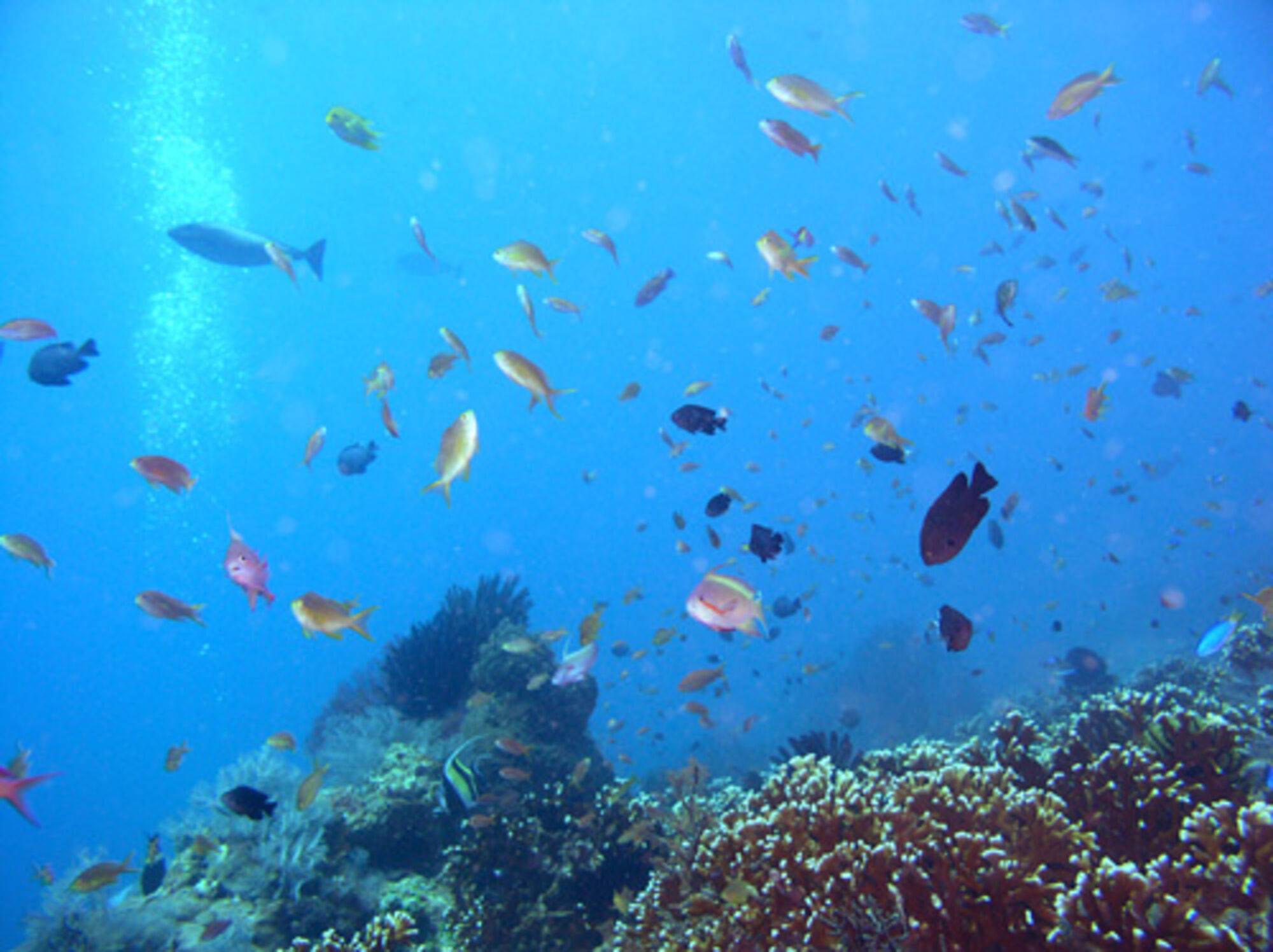 high (1).jpg (314 KB)