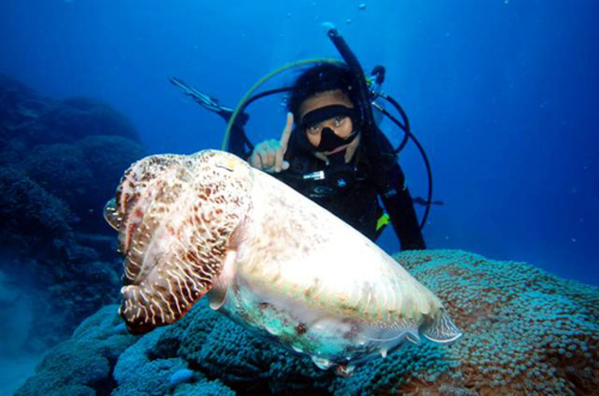 high (2).jpg (259 KB)