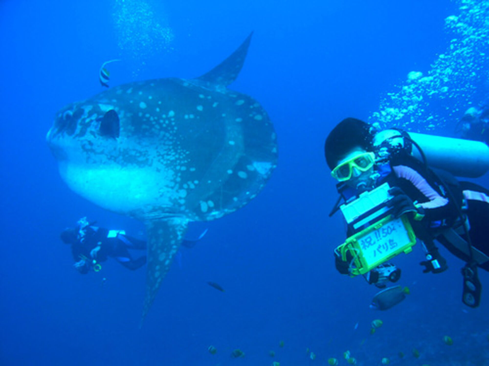 high (3).jpg (200 KB)