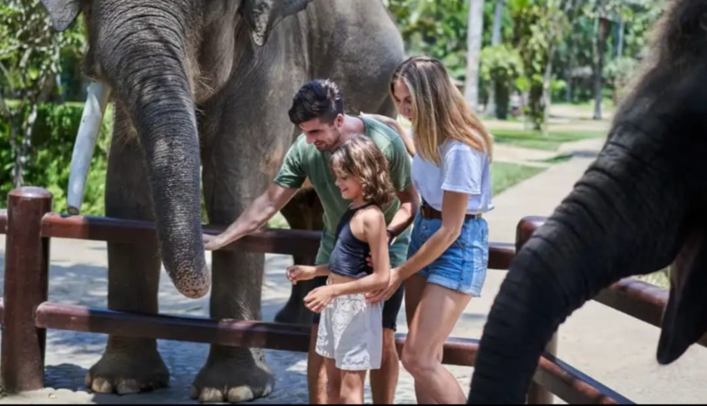 【📢重要なお知らせ】提携エレファントパークの運営方針変更について