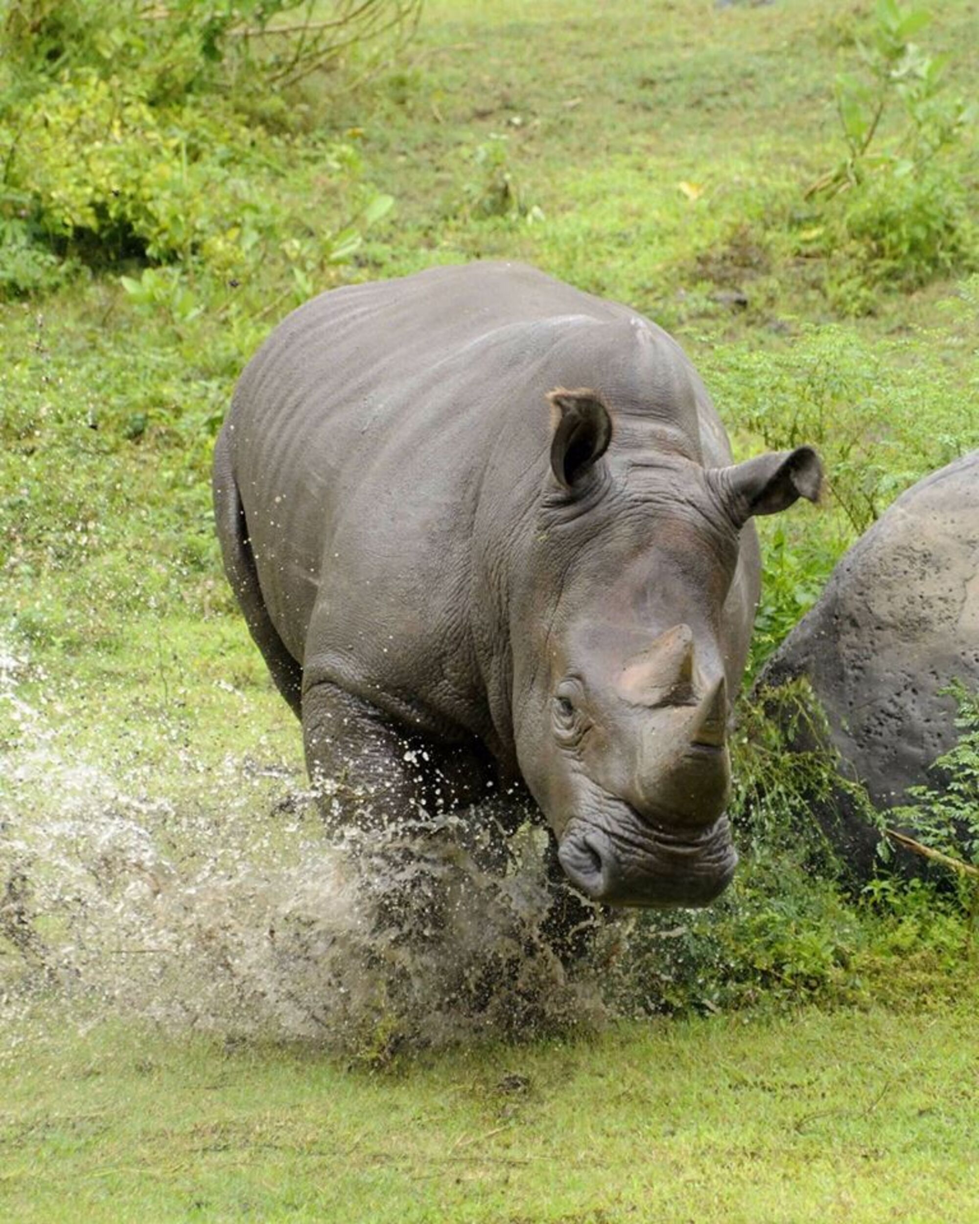 high (1).jpg (599 KB)