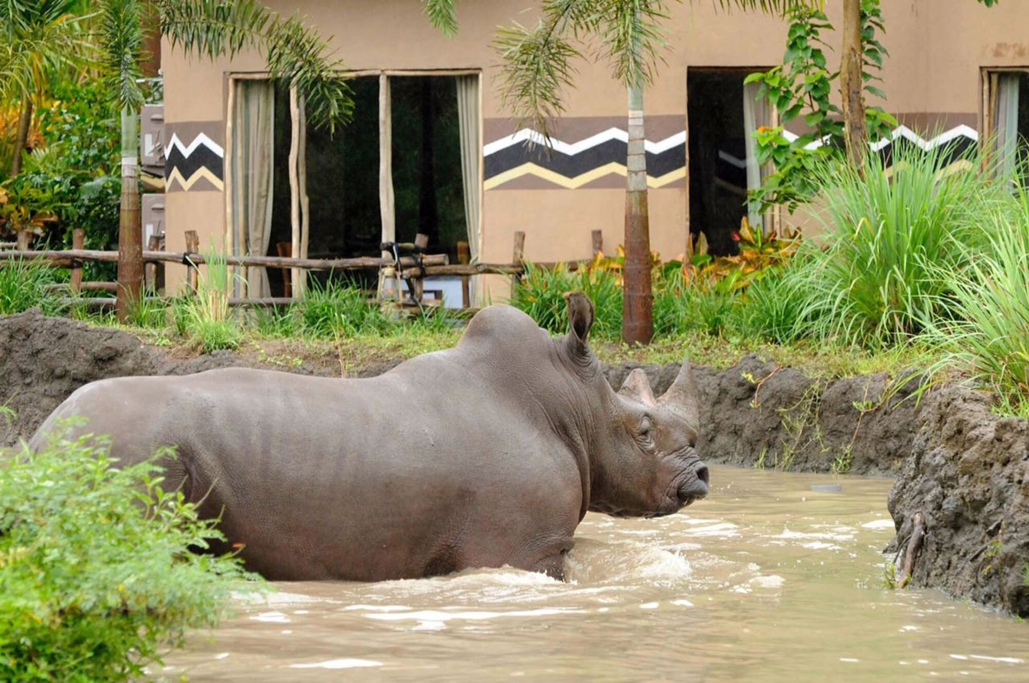 high (3).jpg (402 KB)