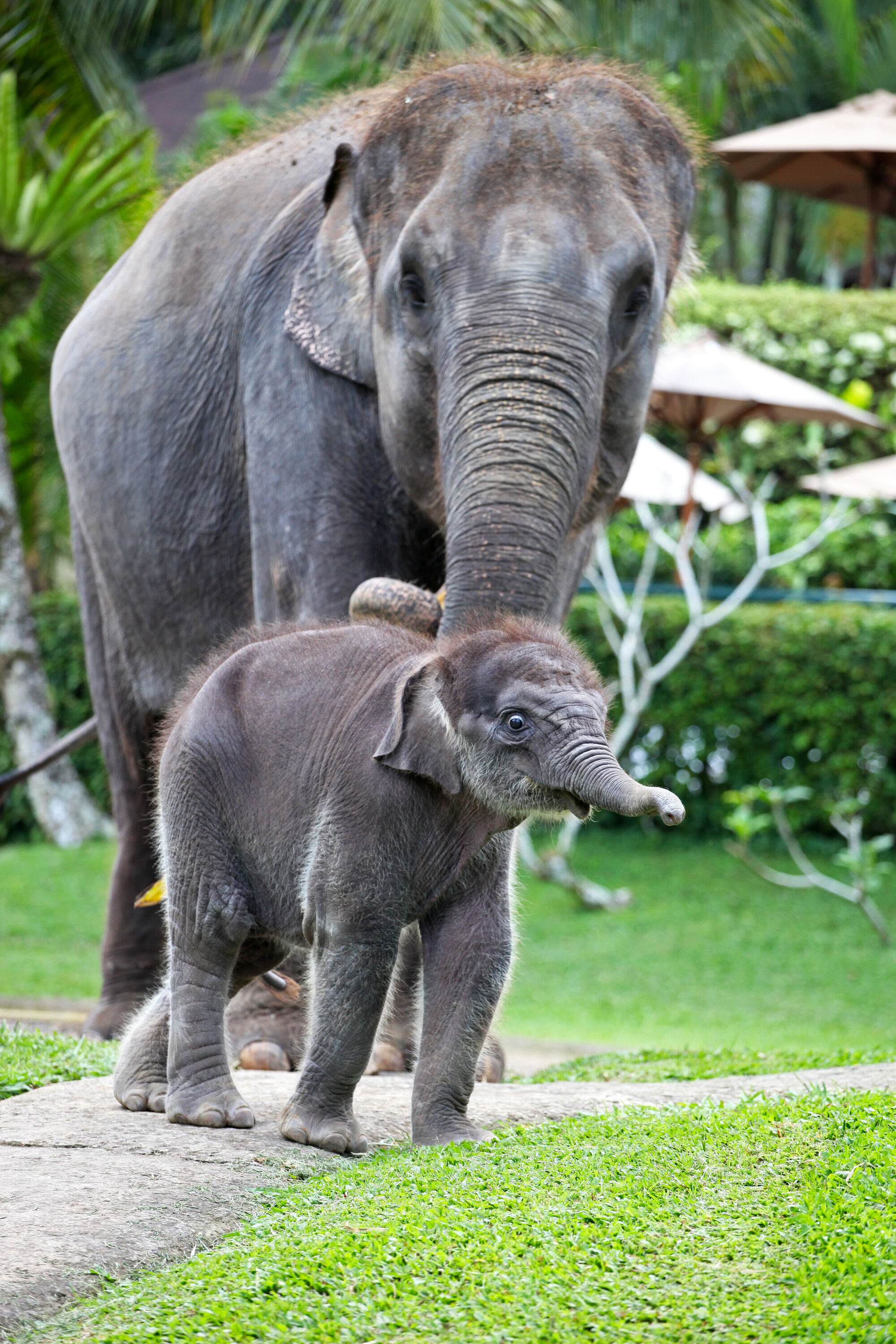 sche (3).jpg (1.10 MB)