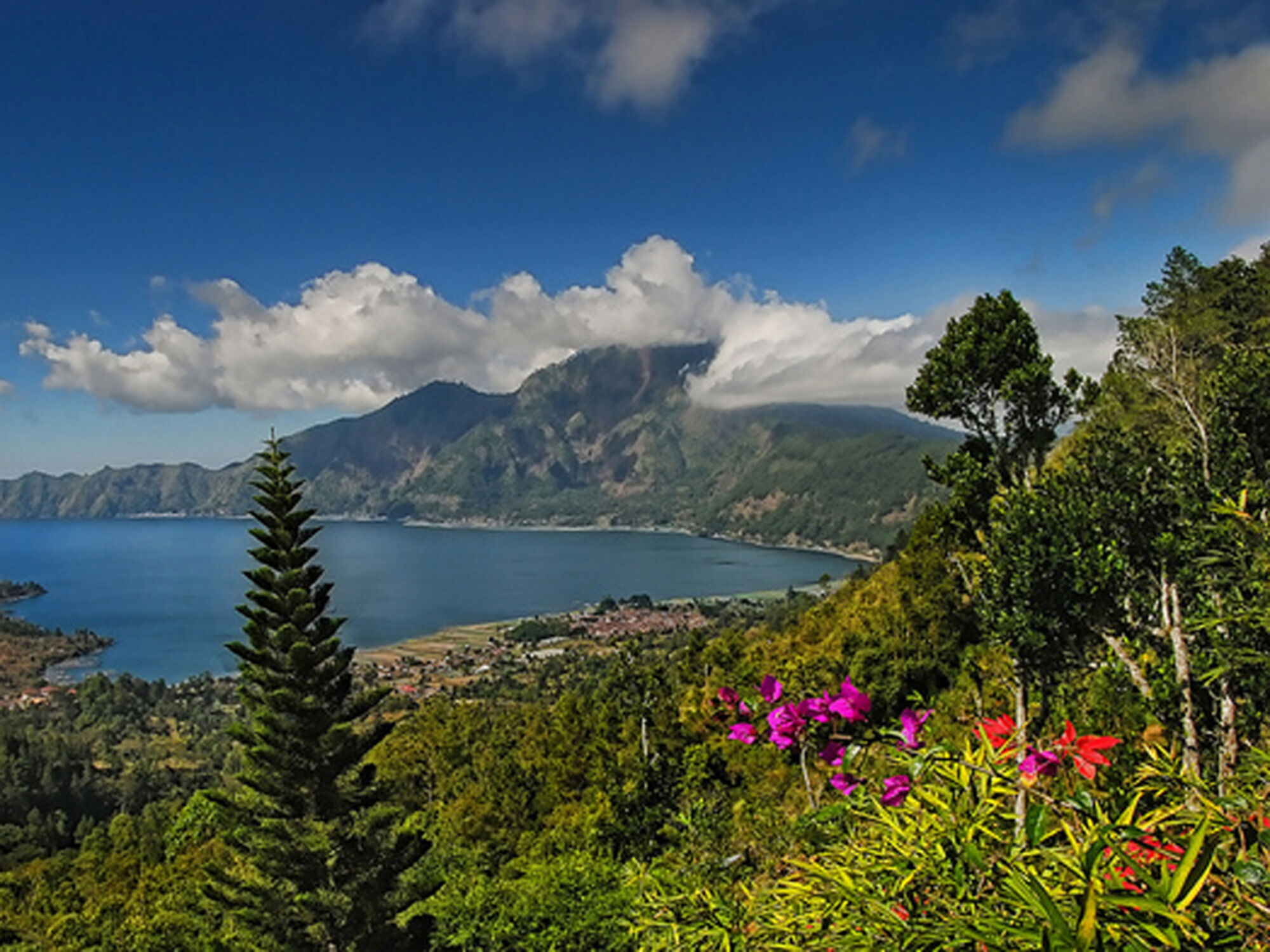 sche (2).jpg (454 KB)