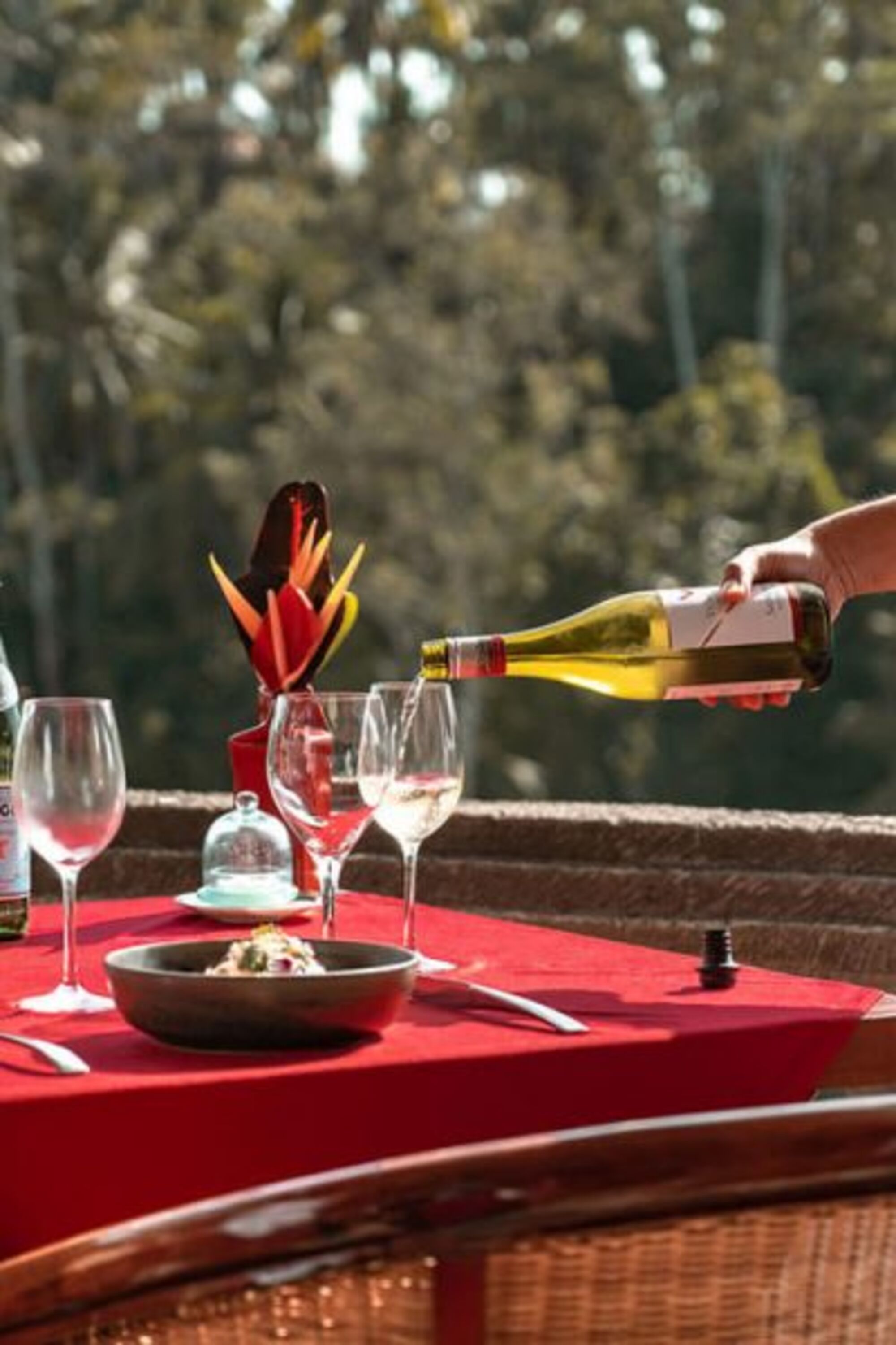 sche (2).jpg (330 KB)