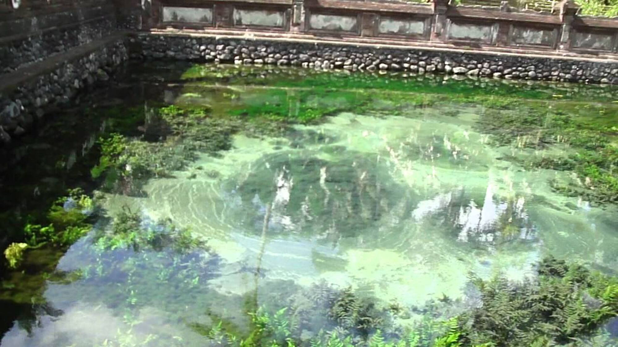 sche (3).jpg (288 KB)