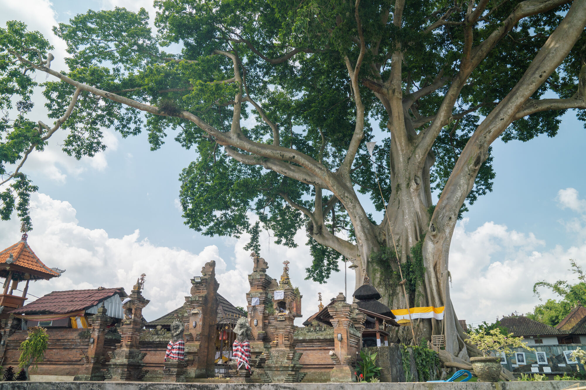 sche (1).jpg (802 KB)