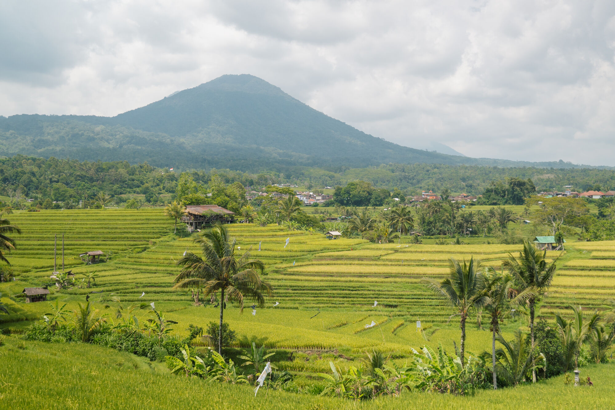 sche (3).jpg (586 KB)