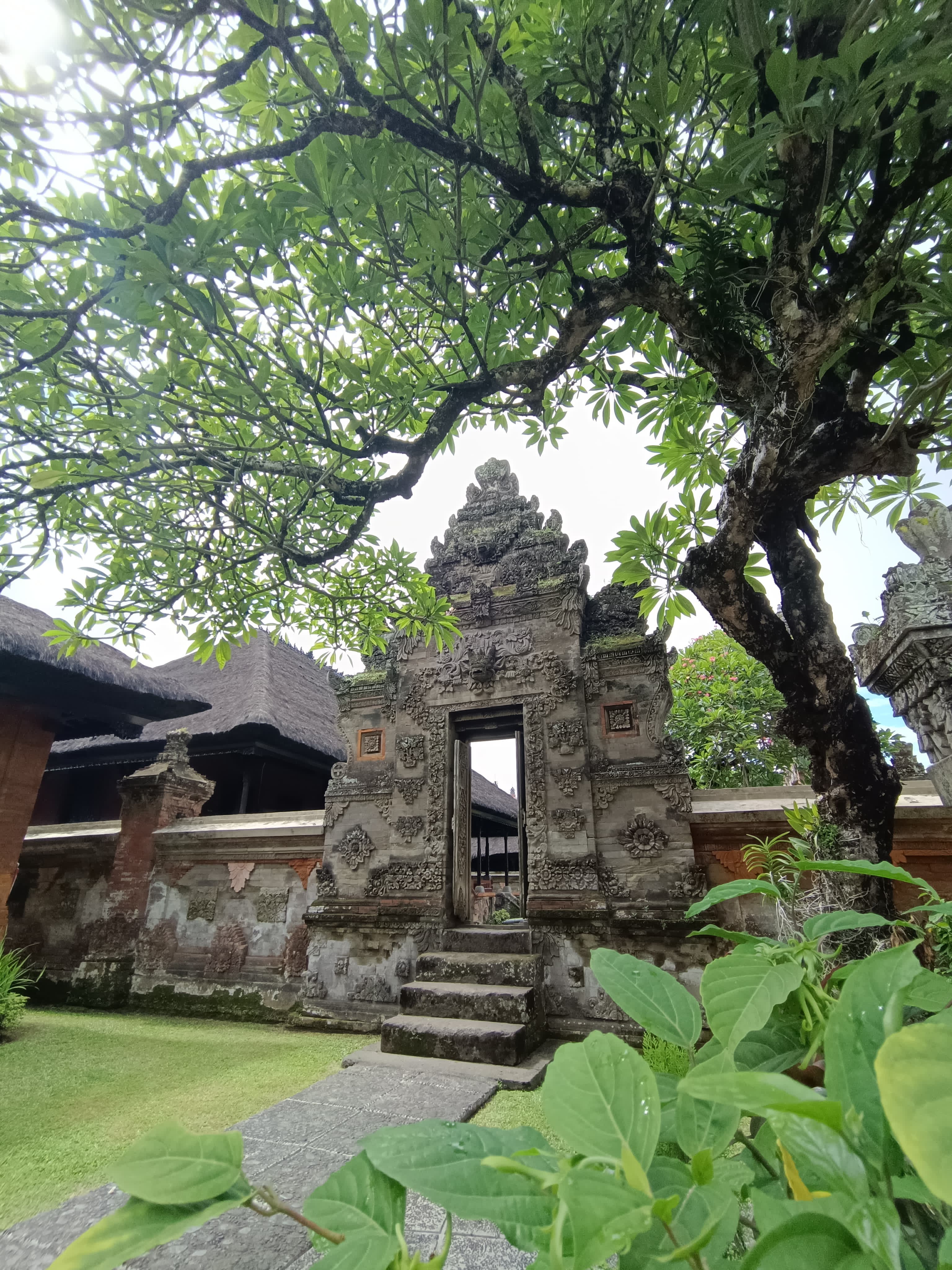 sche (2).jpeg (999 KB)