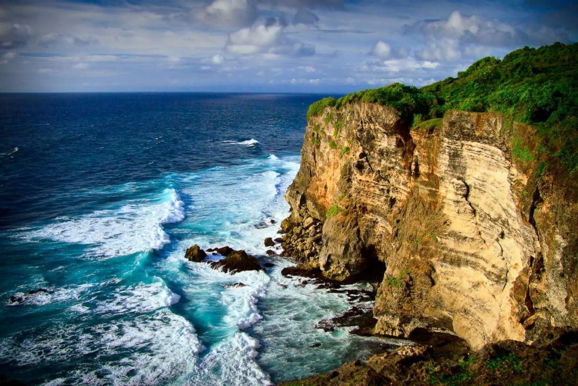 high (1).jpg (448 KB)