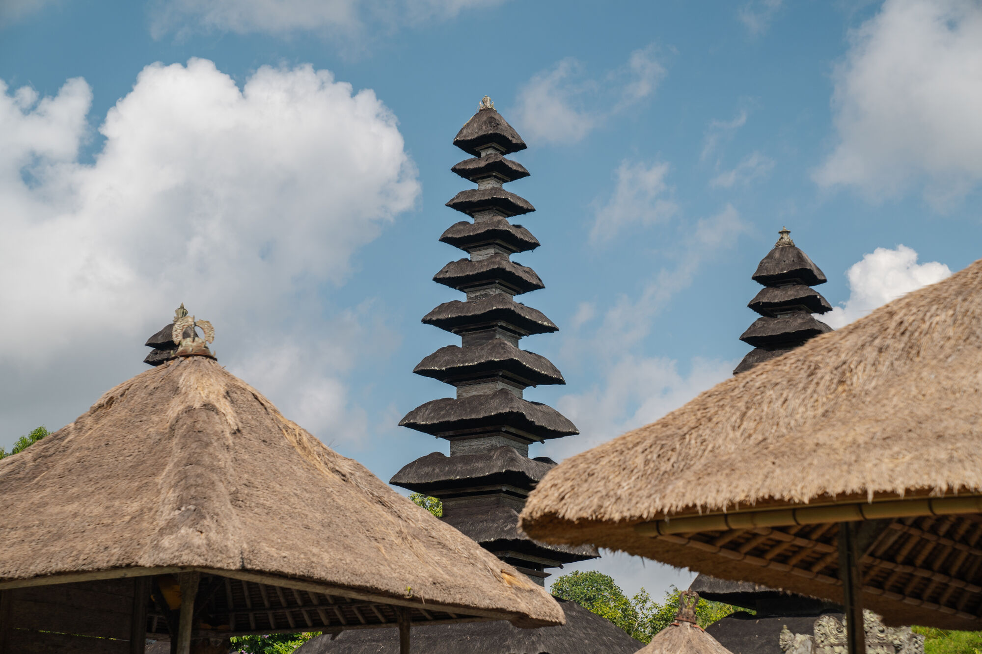 sche (3).jpg (325 KB)