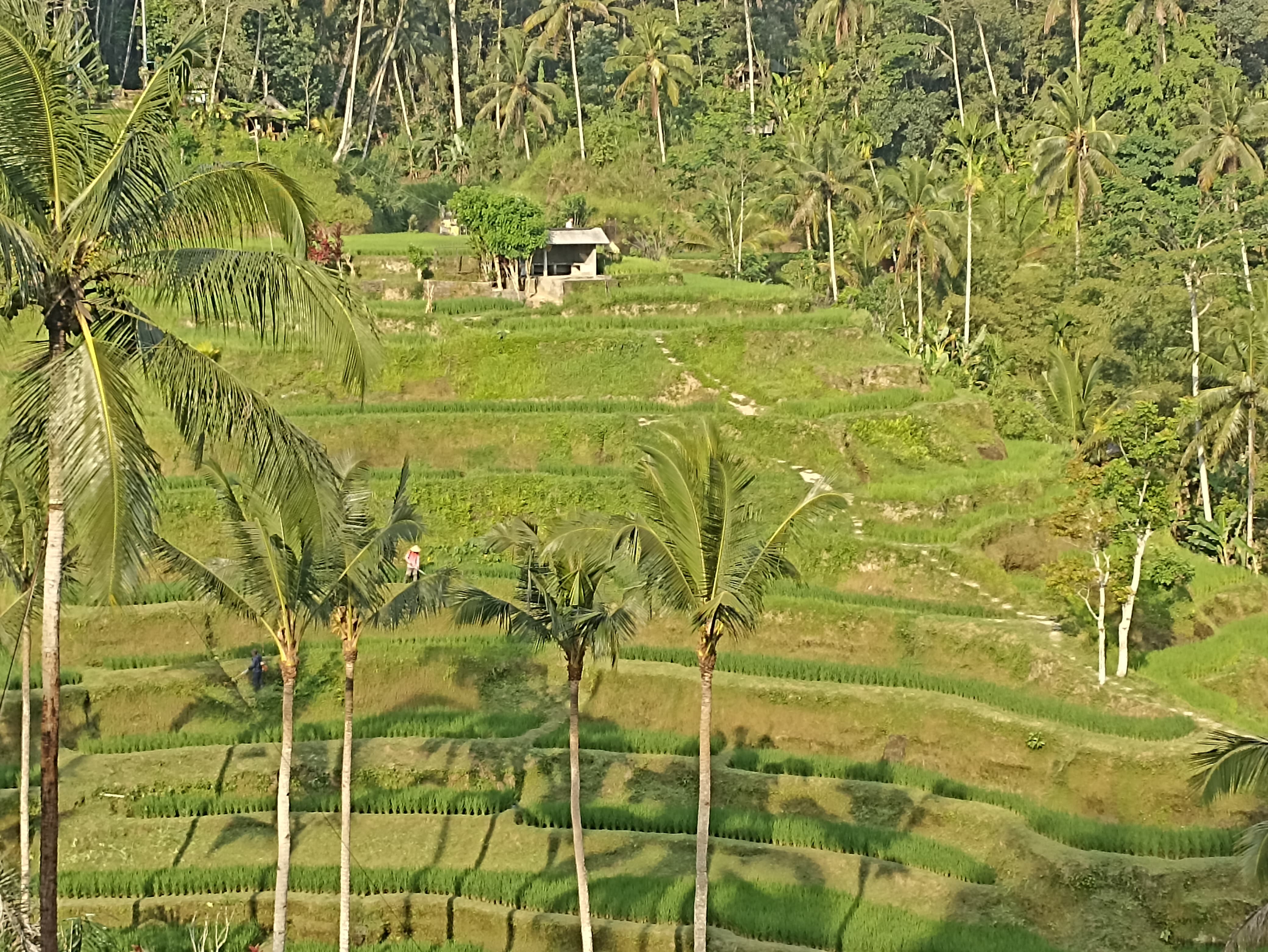 sche (2).jpeg (1.36 MB)