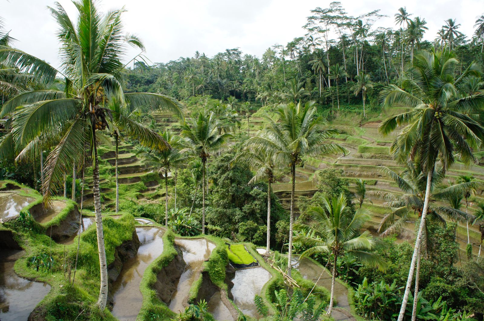 sche (3).jpeg (457 KB)