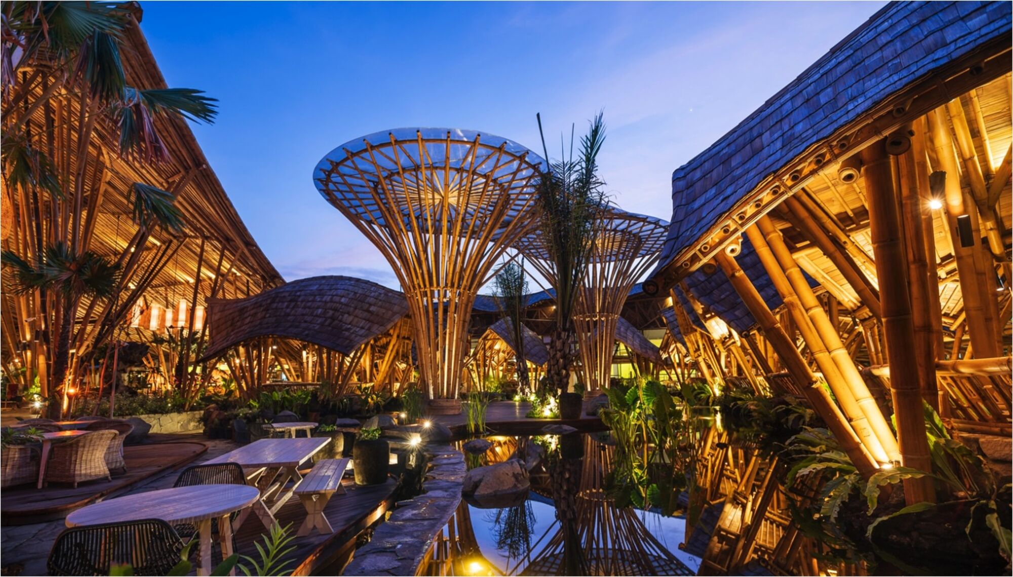 high (3).jpg (404 KB)