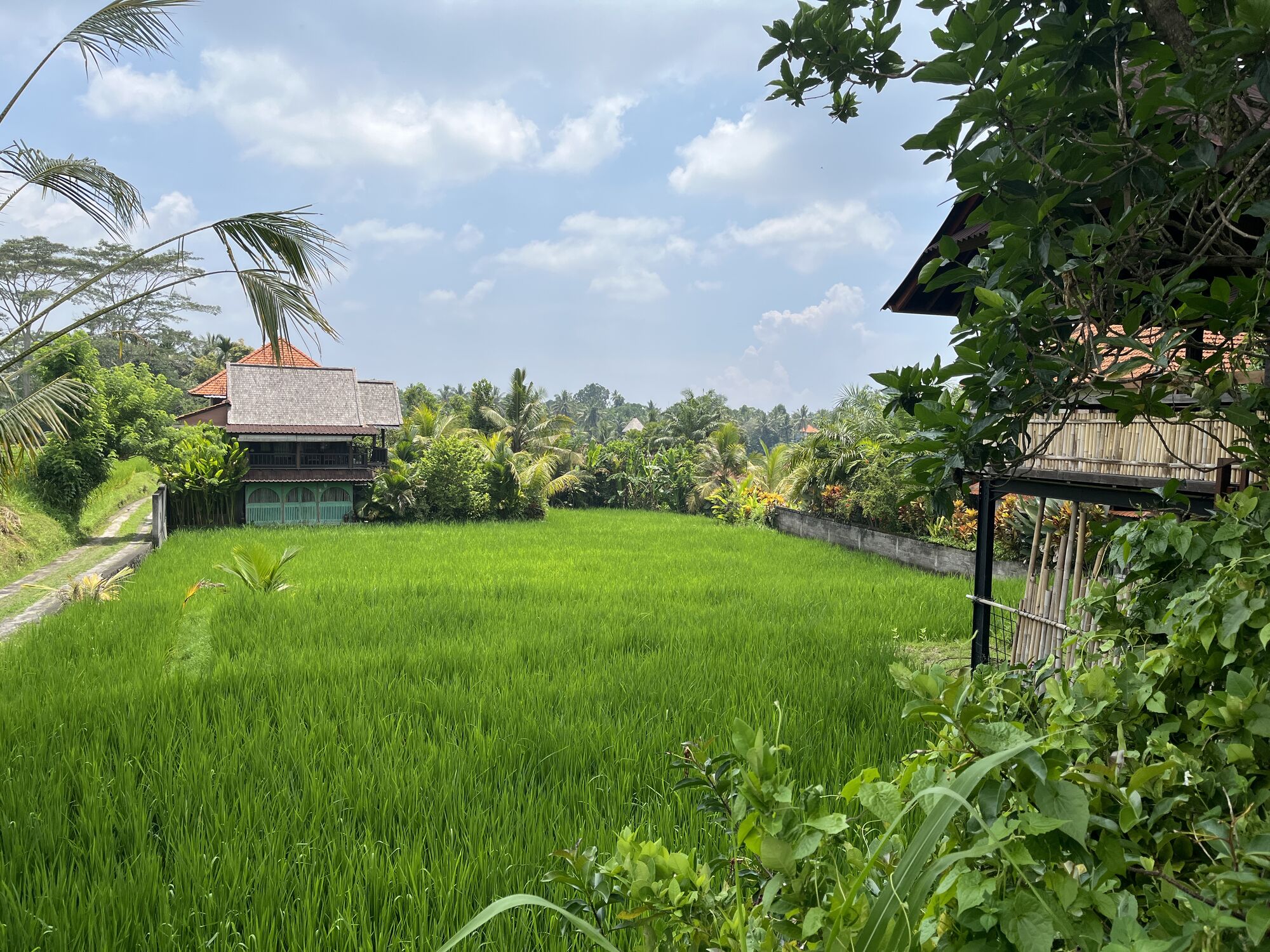 high (2).JPG (713 KB)