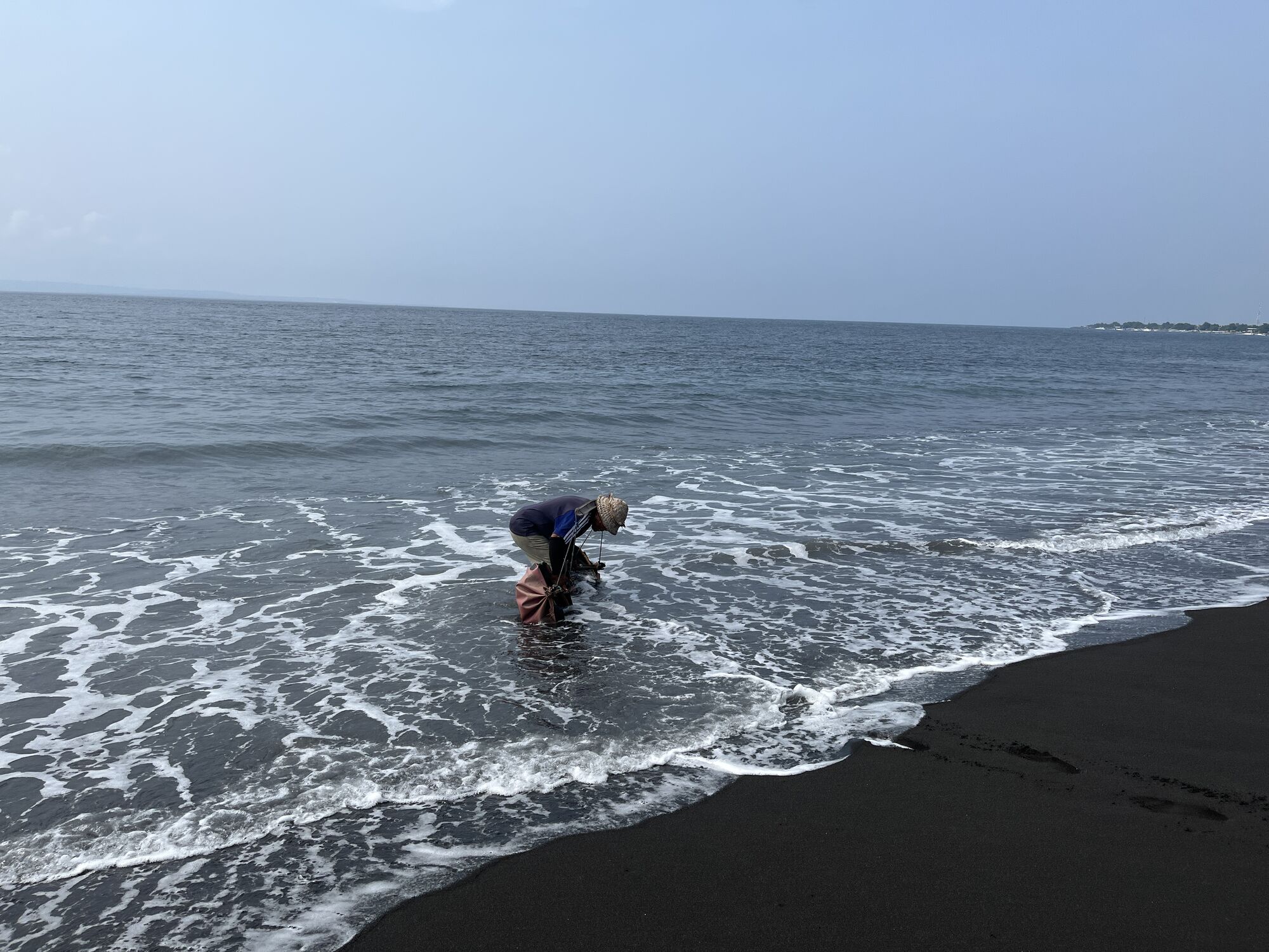 high (2).JPG (473 KB)