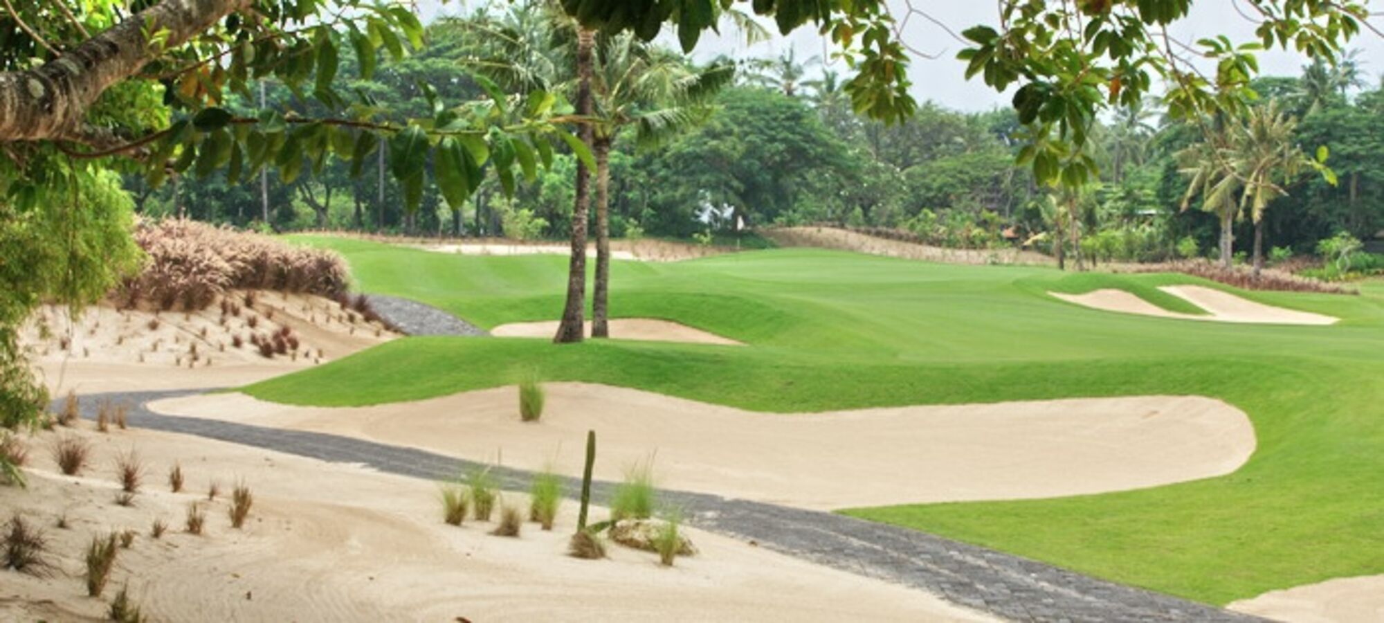 high (3).jpg (223 KB)