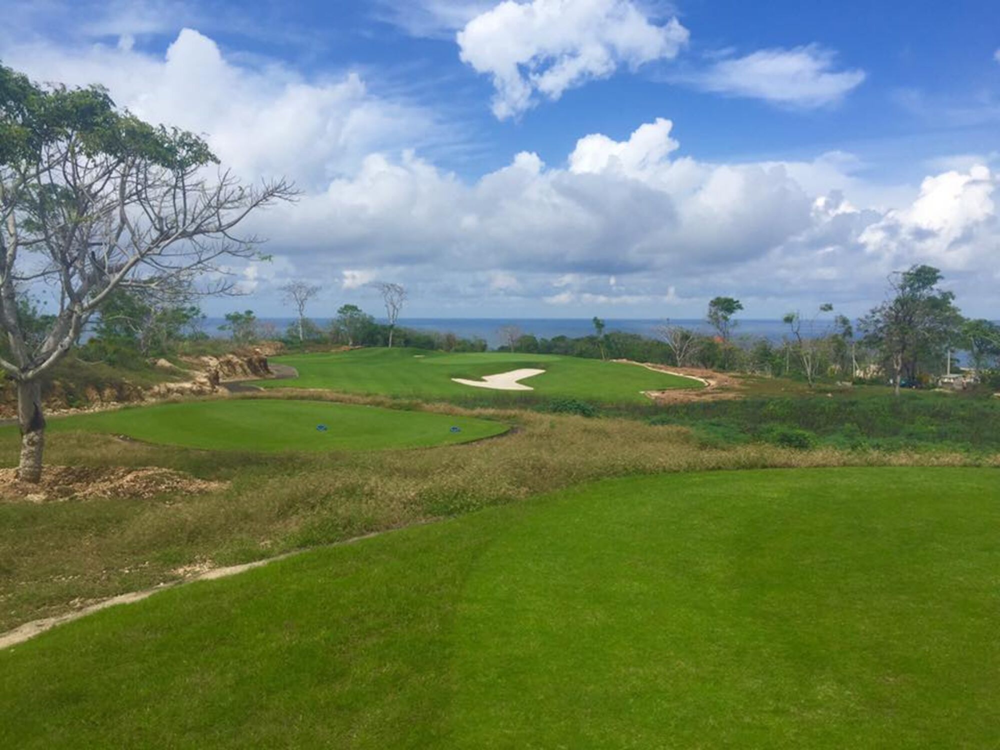 high (3).jpg (265 KB)